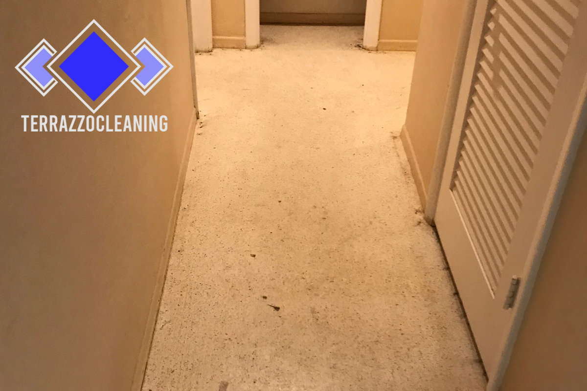 Cleaning Terrazzo Floors Process Miami