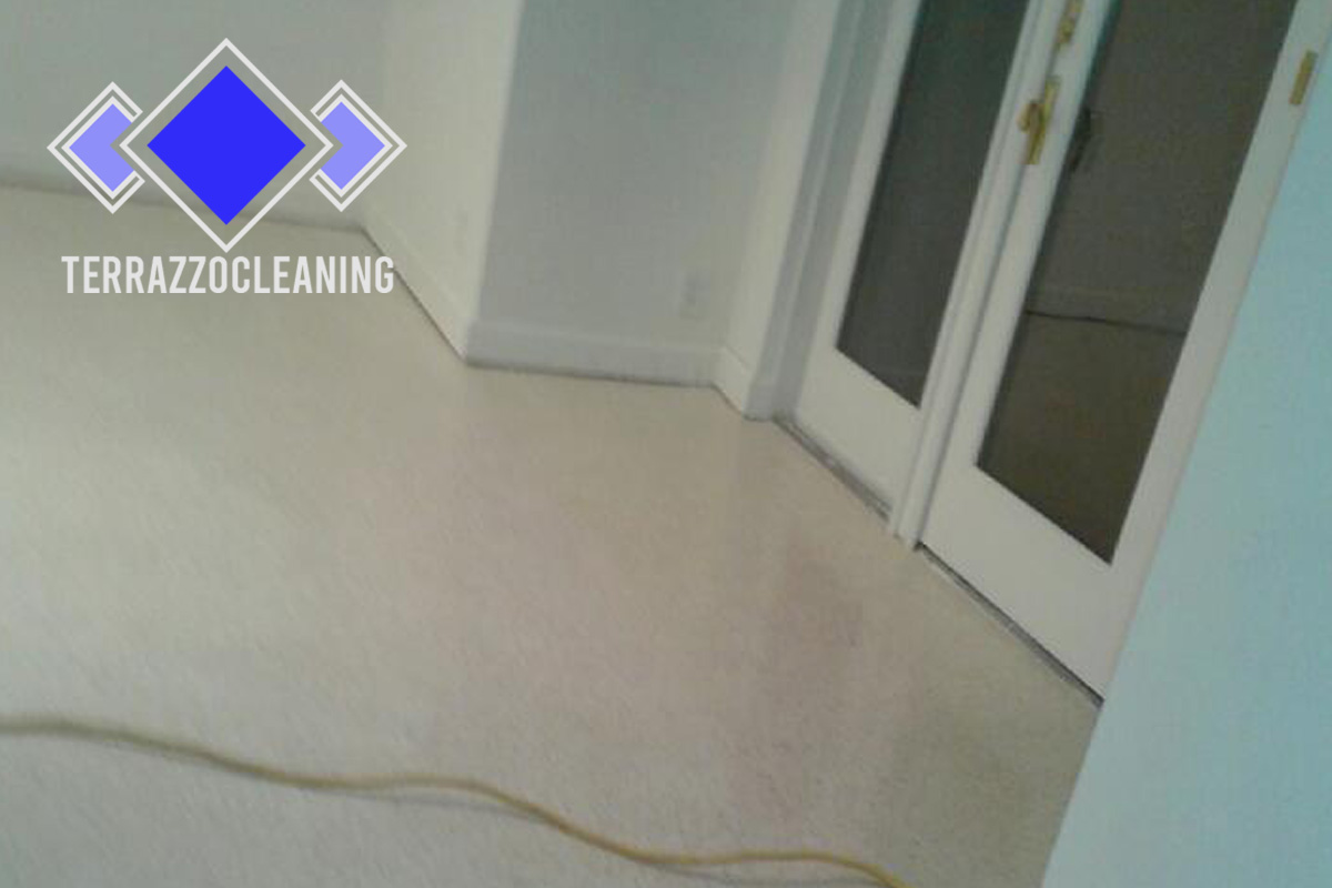 Terrazzo Cleaning Process Miami