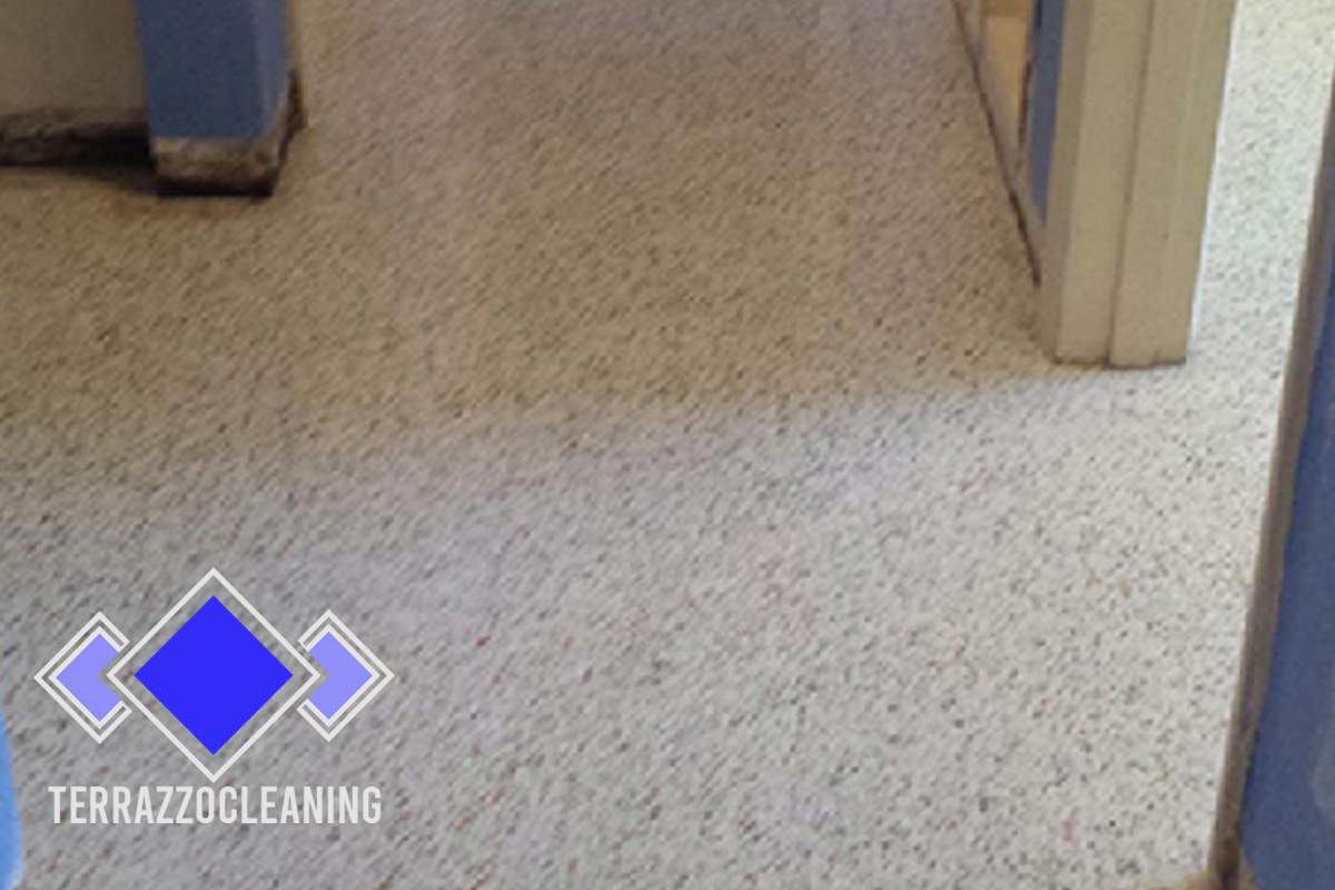 Clean Polishing Terrazzo Floors Palm Beach